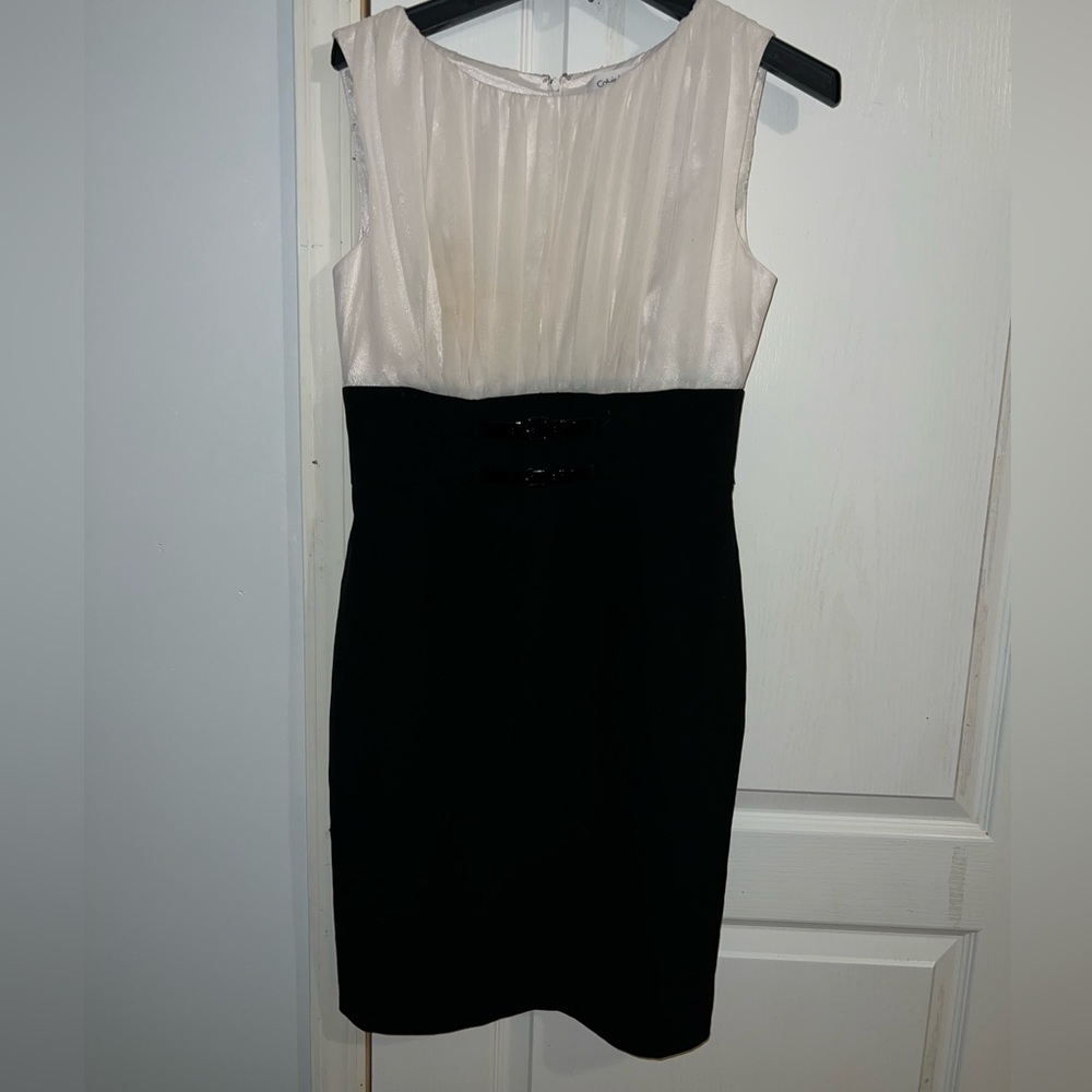 Calvin Klein Dress